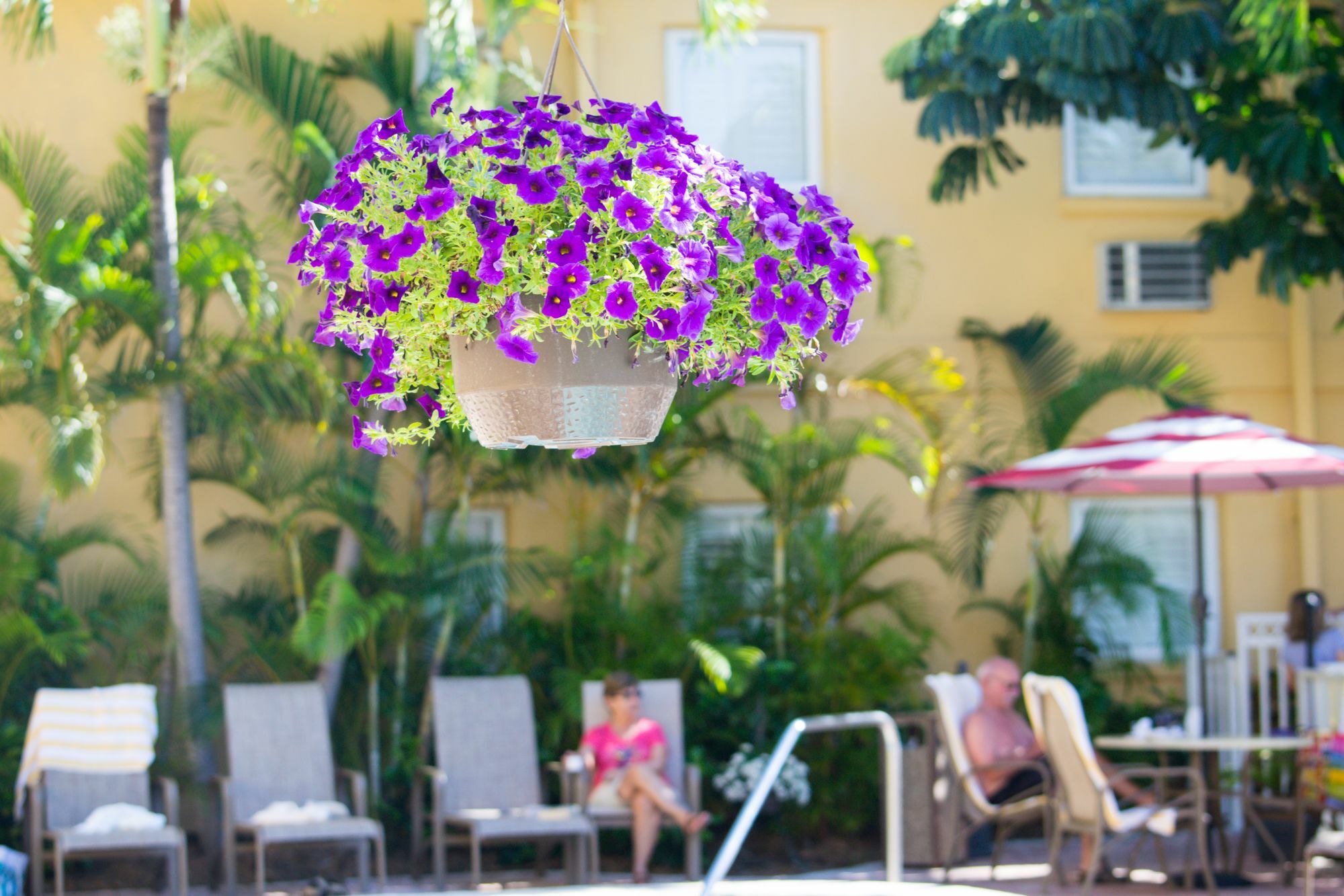 Inn At The Beach-Venice Florida Εξωτερικό φωτογραφία